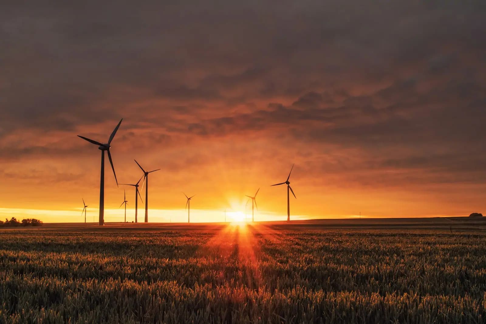 Área industrial com vegetação — gestão ambiental
